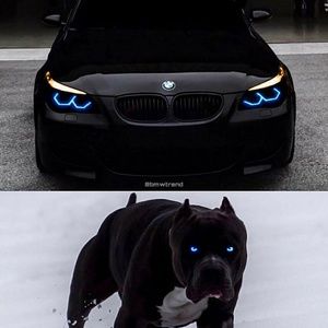 Meet your Posher, Jose